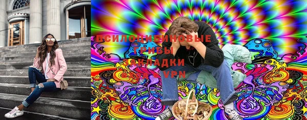 круглые Ладушкин