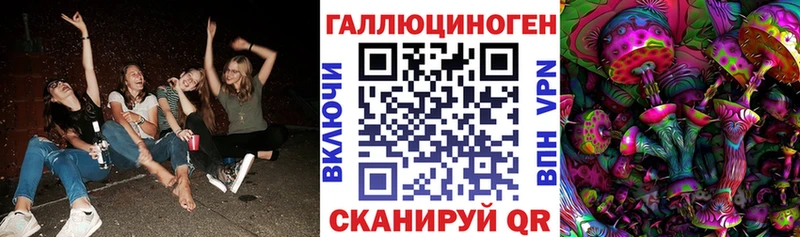 Псилоцибиновые грибы ЛСД  kraken ONION  Новозыбков 