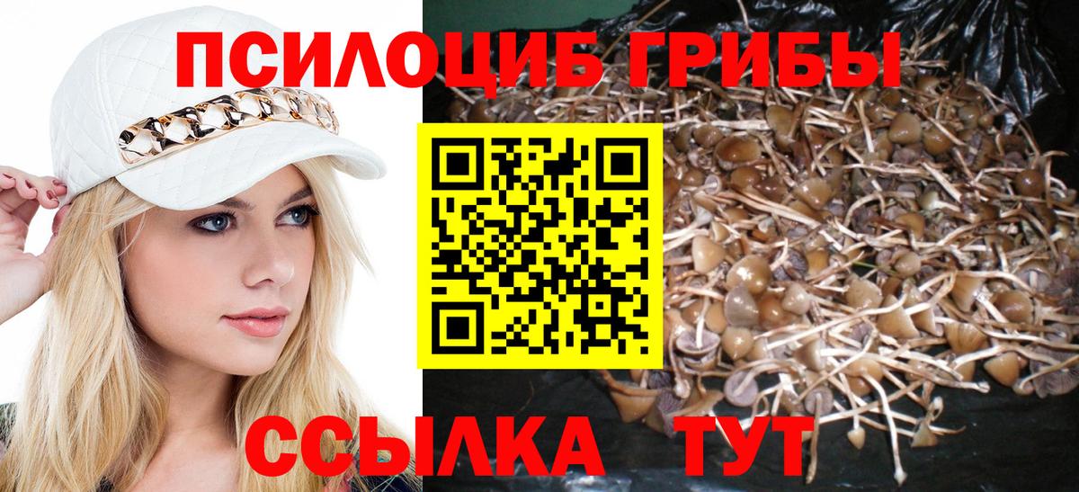 Новозыбков  Псилоцибиновые грибы GOLDEN TEACHER  Вход с VPN  Галлюциногенные грибы мухоморы 